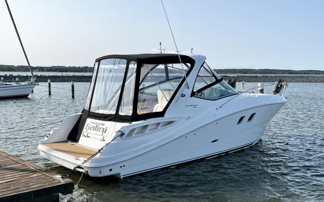 Sea Ray Sundancer 310