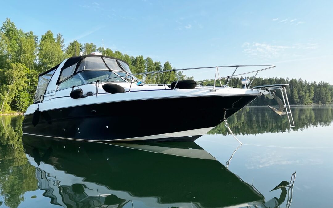 Sea Ray Sundancer 310