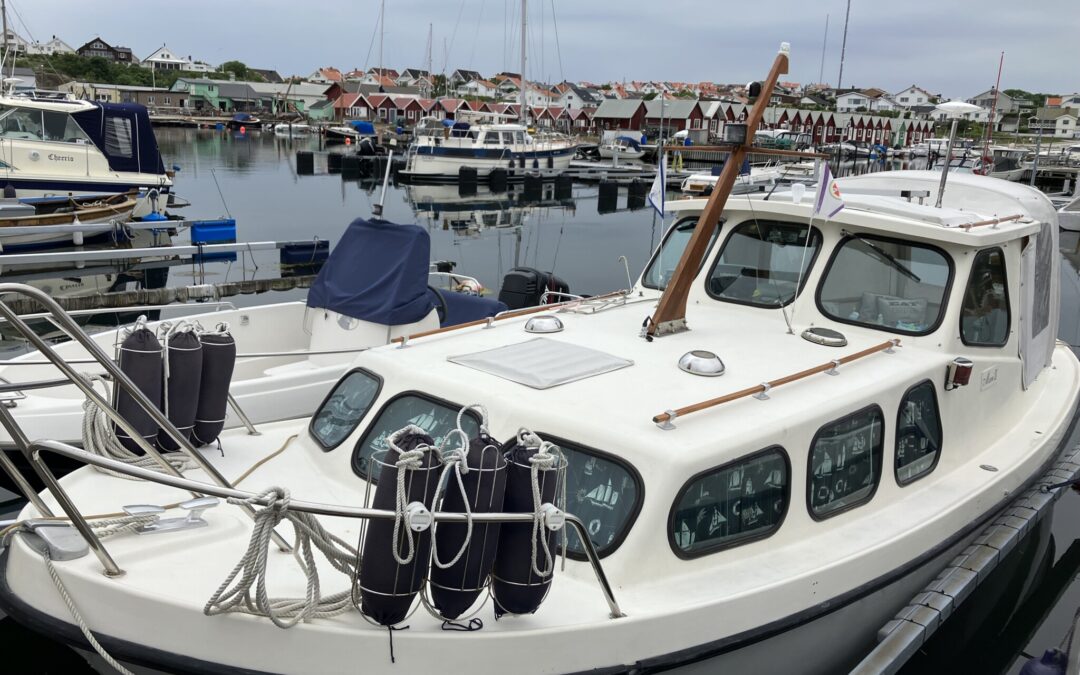 Starlet 27