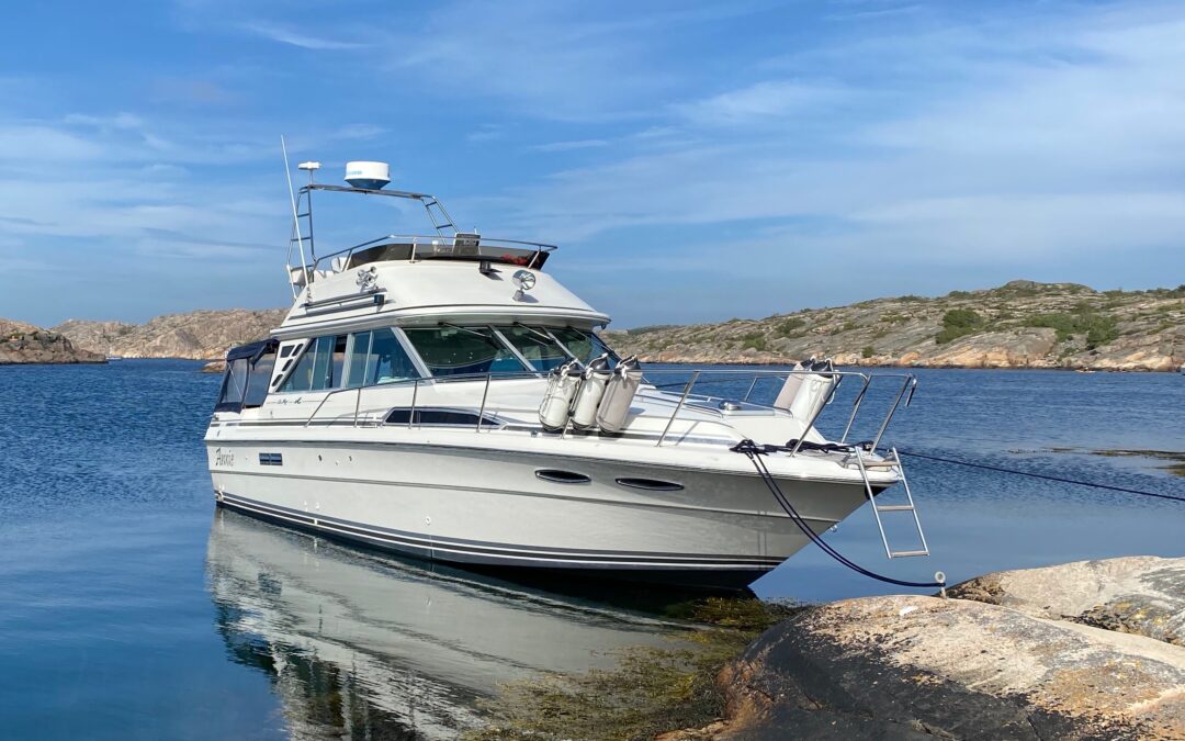 Sea Ray 340 Sedan Bridge