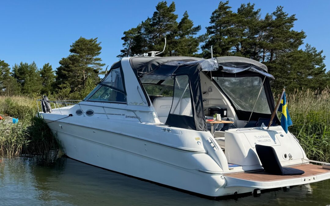 Sea Ray Sundancer 310