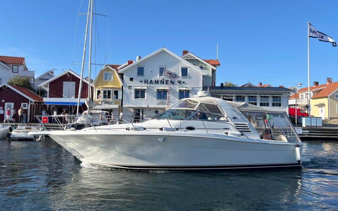 Sea Ray Amberjack 340