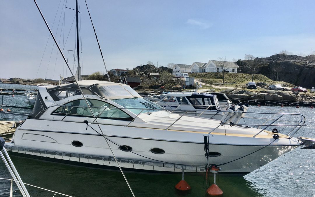 Prinz 36 Open