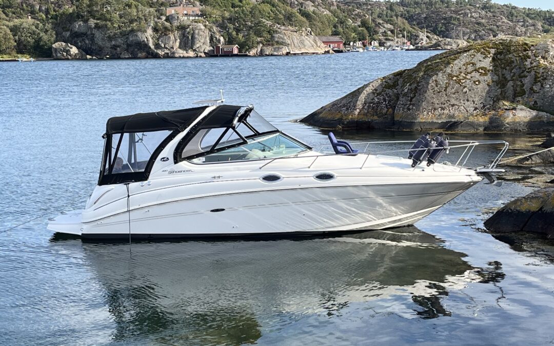 Sea Ray Sundancer 280/315