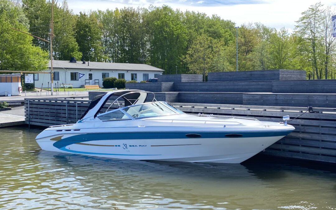 Sea Ray 310 SS