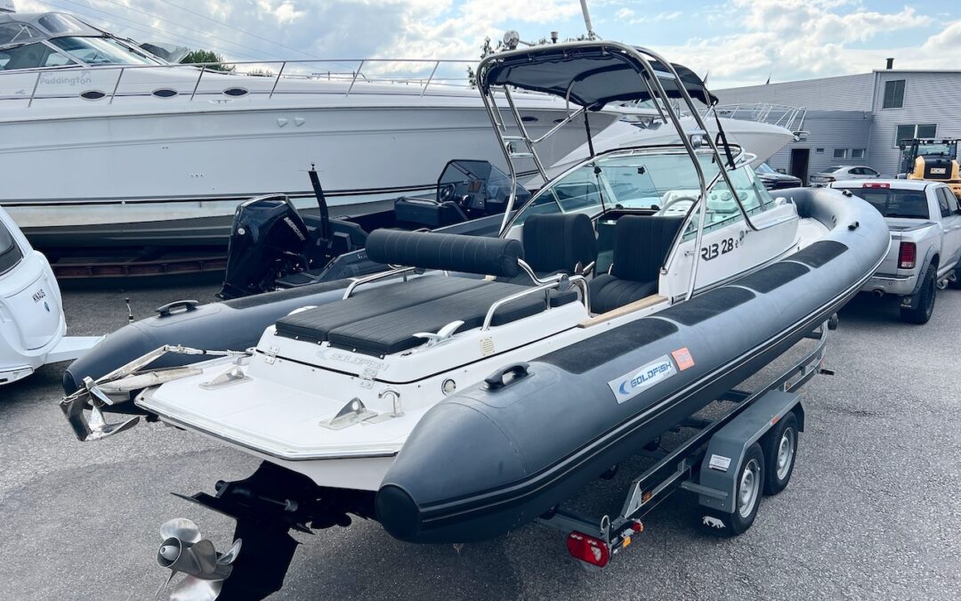 Goldfish Rib 28