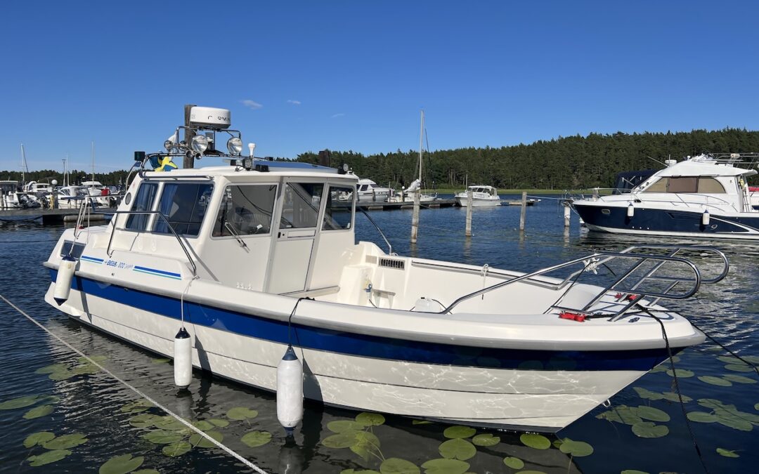 Bella 800 Delphin