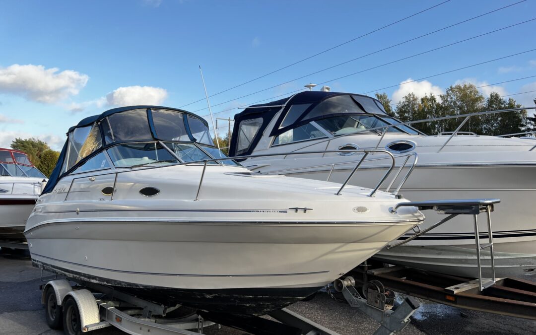 Sea Ray Sundancer 240
