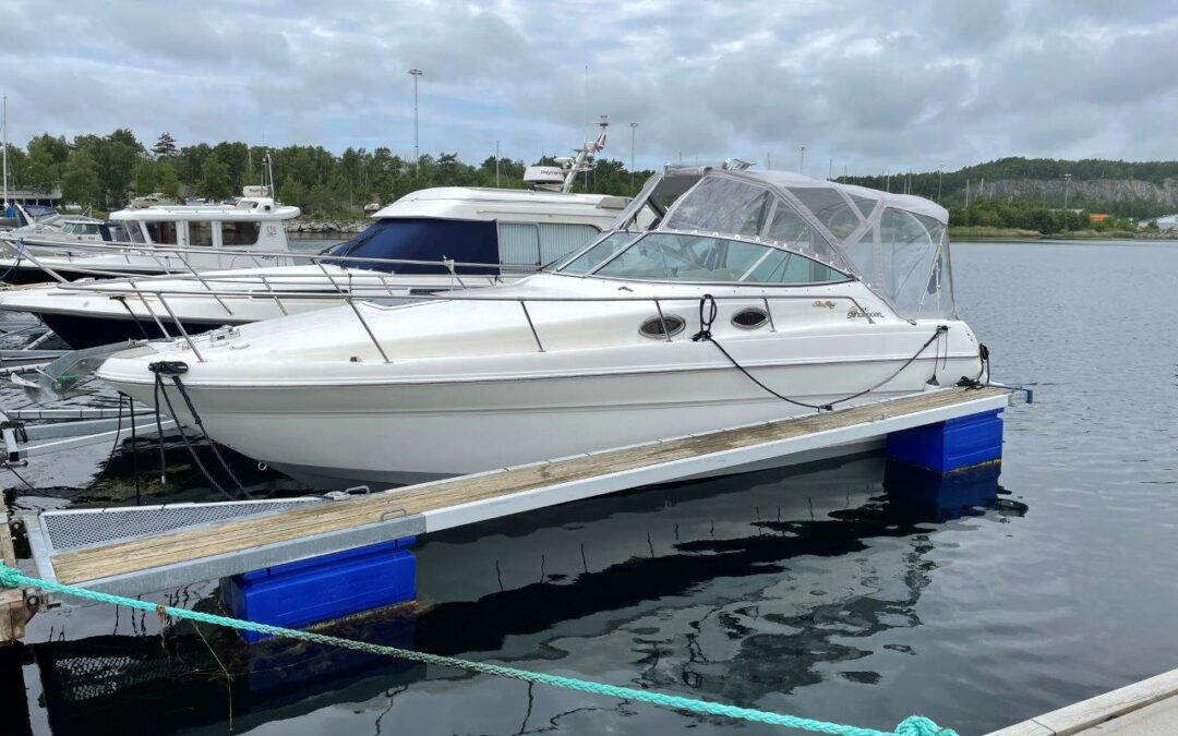Sea Ray Sundancer 270