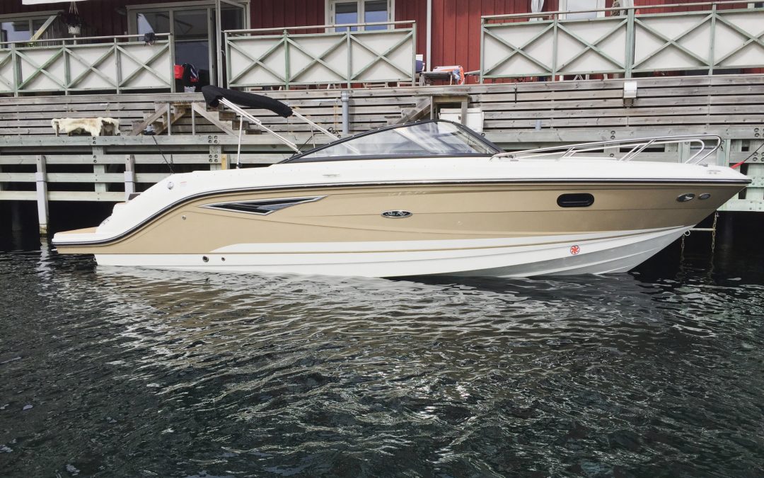 Sea Ray 250 SSE