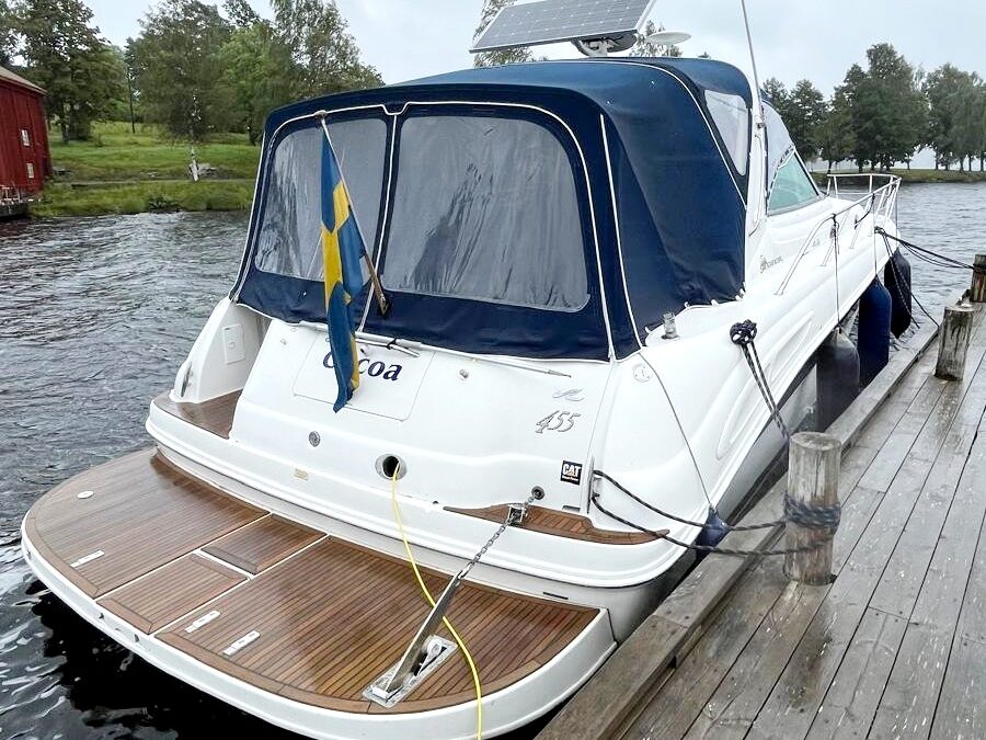 Sea Ray Sundancer 410/455