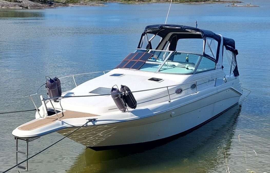 Sea Ray Sundancer 290