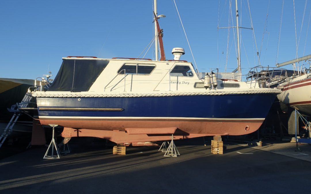Mitchell Sea Angler 31