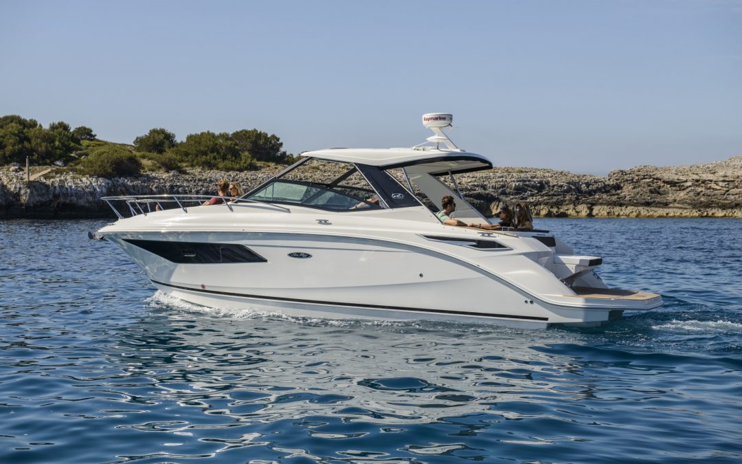 Sea Ray Sundancer 320